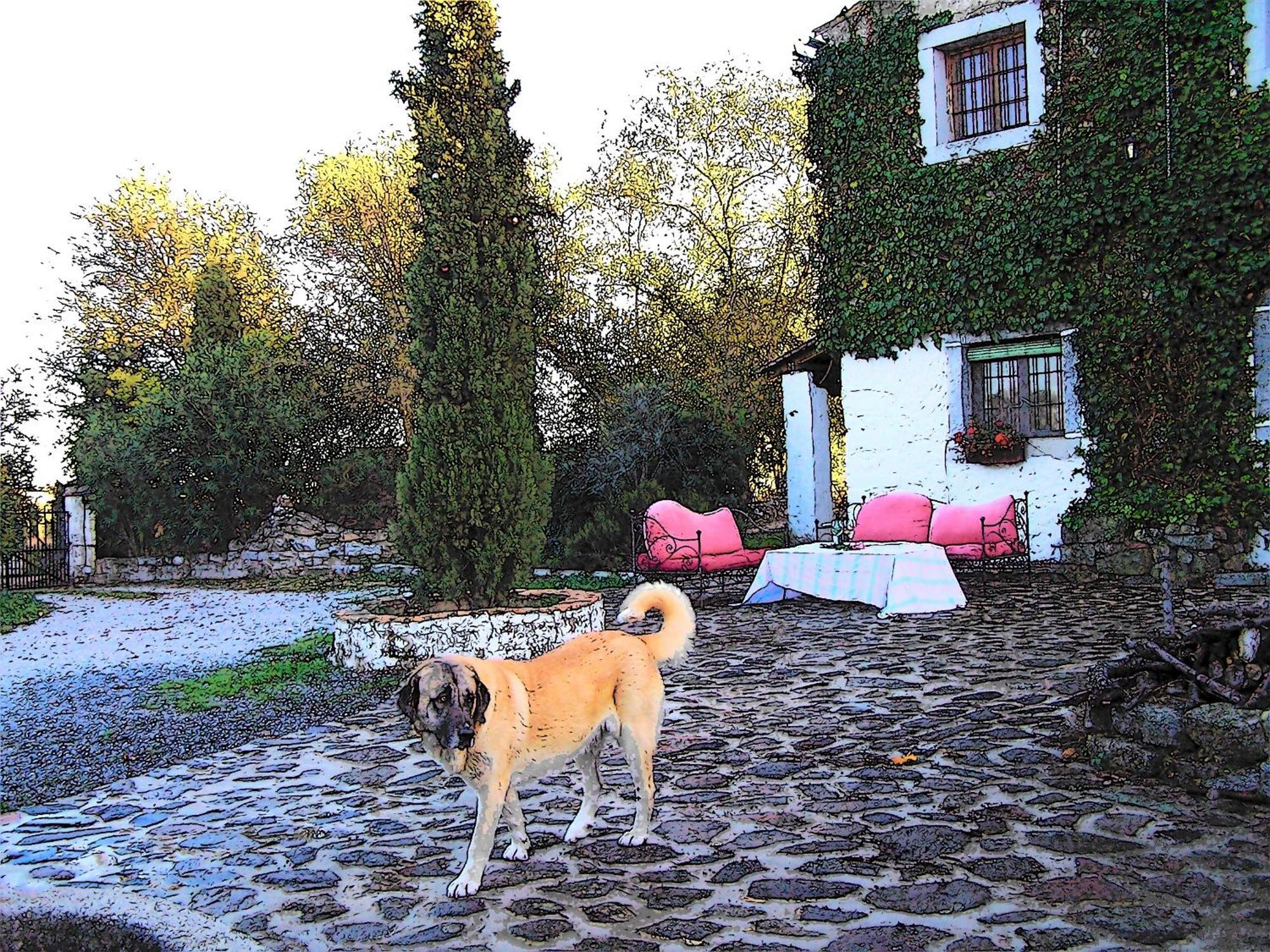 Casa Rural Cortijo Del Zoco Bajo Пособланко Екстер'єр фото